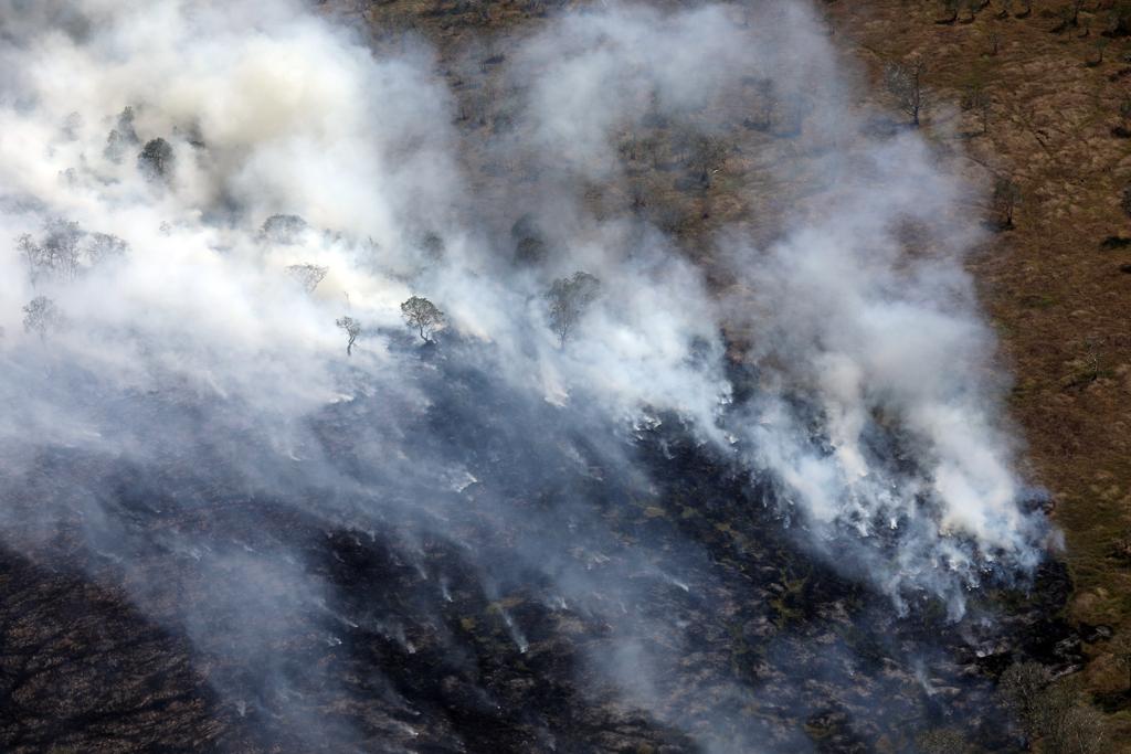 Tinjauan udara penanganan kebakaran hutan dan lahan di Kalimantan Selatan.